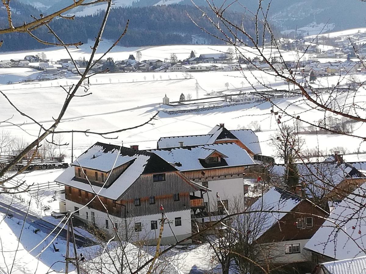 Ortnerhof Ennstal Bed & Breakfast ไอเกน อิม เอนน์สทาล ภายนอก รูปภาพ